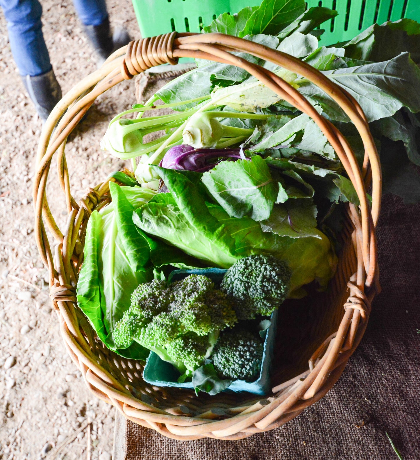 Thanksgiving Vegetable Share
