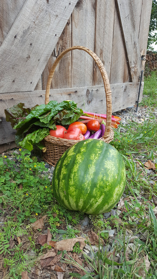 2026 Summer FarmShare (CSA) FULL SHARE